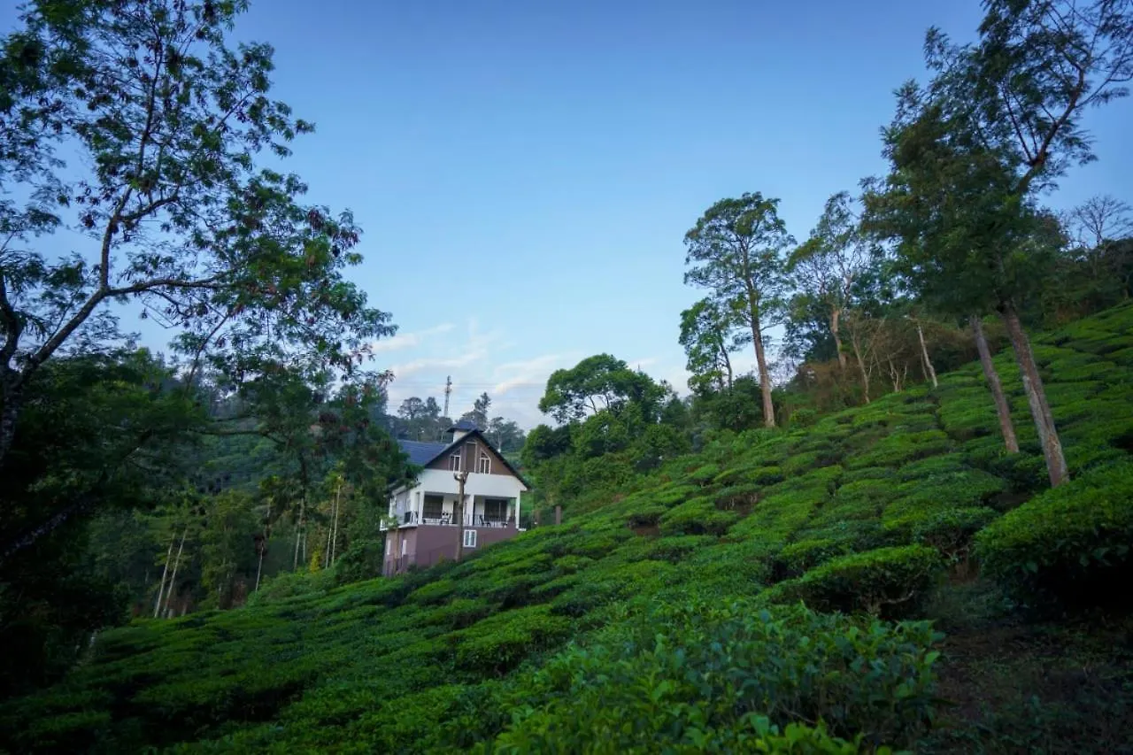 Teaberg Estate Haus Villa Munnar India