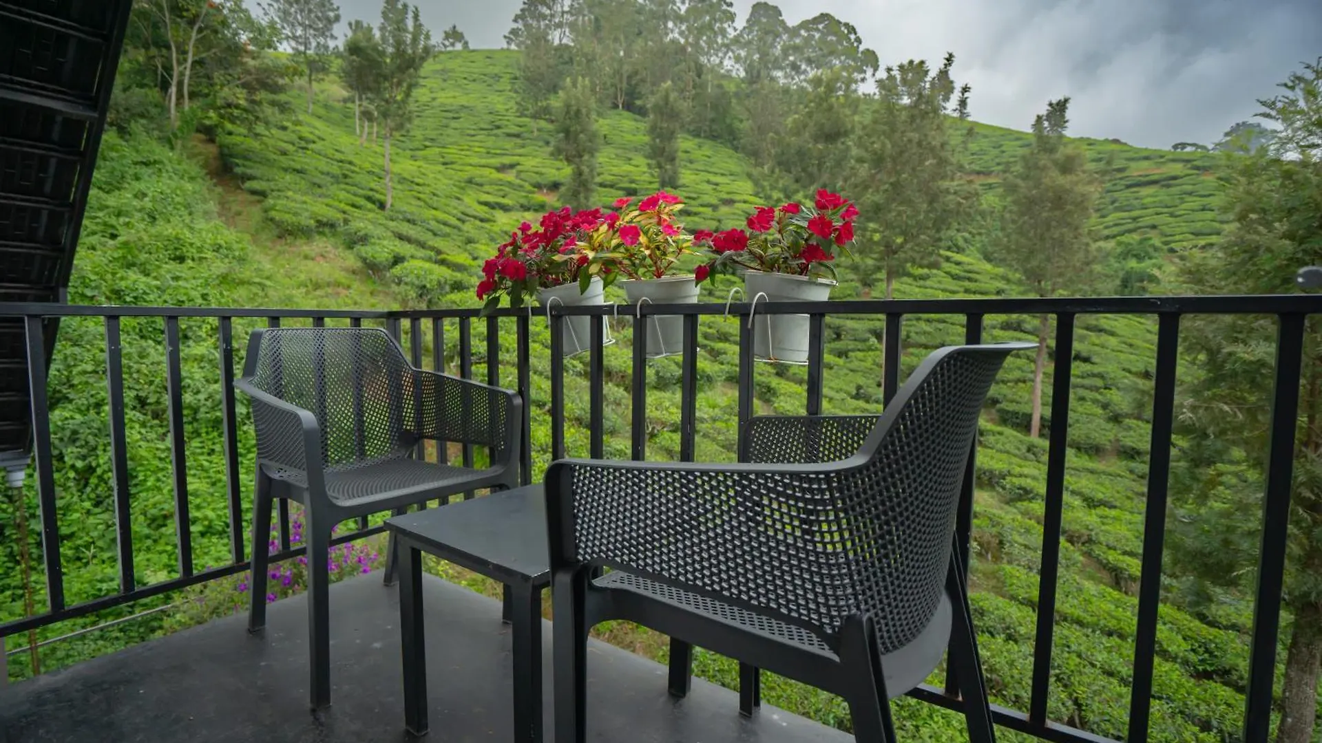 Teaberg Estate Haus Villa Munnar India
