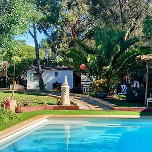 https://koala-da-valdareina-praia-benagil-carvoeiro-marinha.hotelaalgarve.com